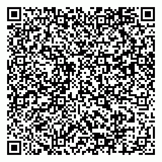 vCard 79803460317
