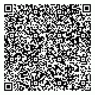 vCard 79803460318