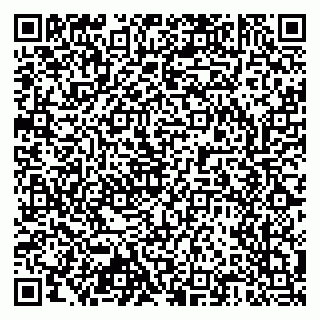 vCard 79803460320