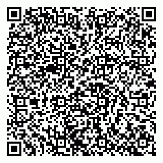 vCard 79803460321