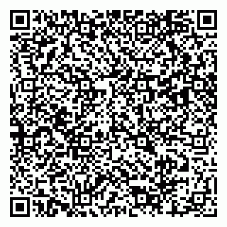 vCard 79803460322
