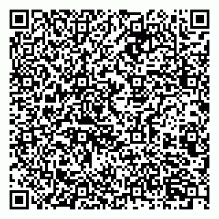 vCard 79803460323
