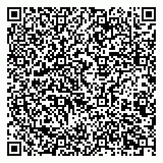 vCard 79803460324