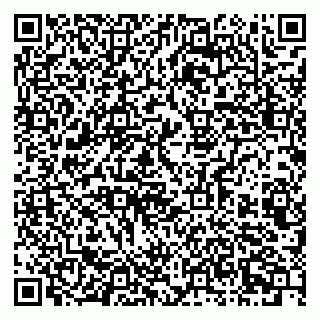 vCard 79803460325