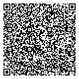 vCard 79803460329