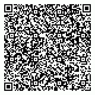 vCard 79803460330