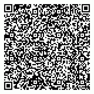 vCard 79803460331