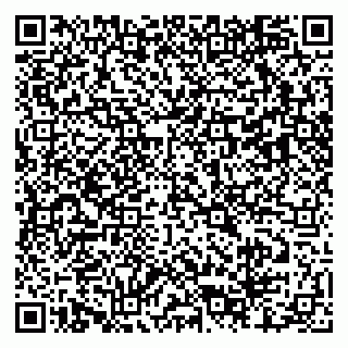 vCard 79803460334