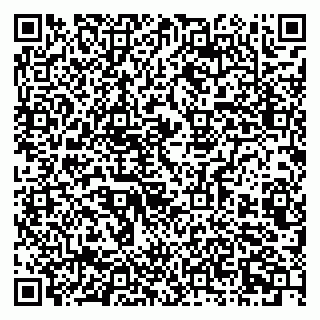 vCard 79803460335