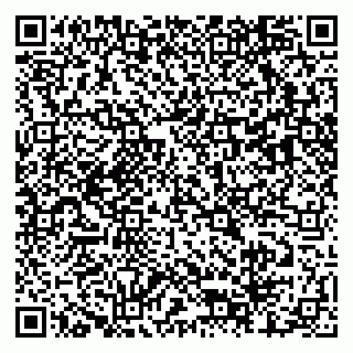 vCard 79803460338