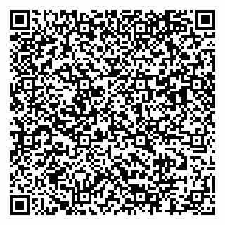 vCard 79803460341