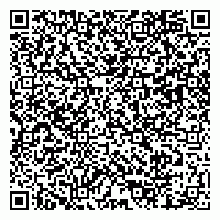 vCard 79803460342