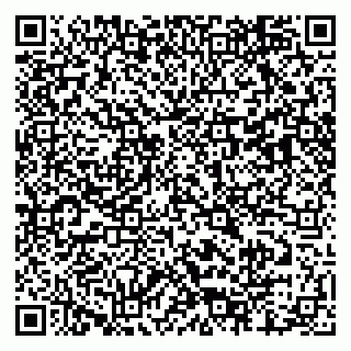 vCard 79803460347