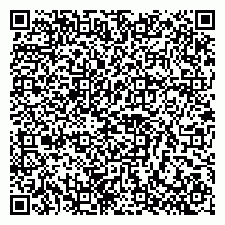 vCard 79803460352