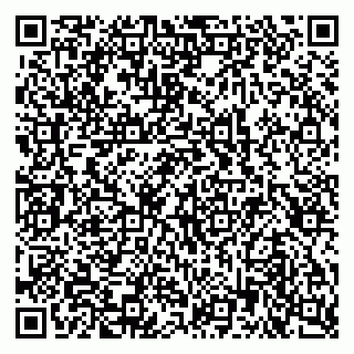 vCard 79803460355