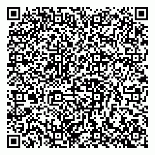 vCard 79803460371