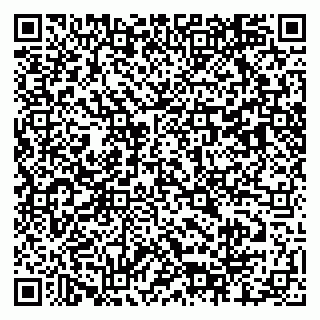 vCard 79803460378