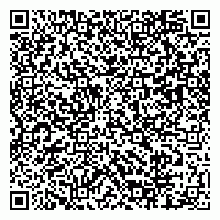 vCard 79803460379