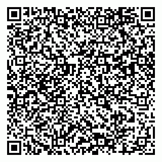 vCard 79803460380
