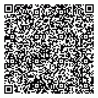 vCard 79803460381