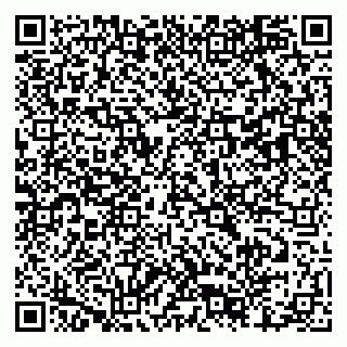 vCard 79803460382