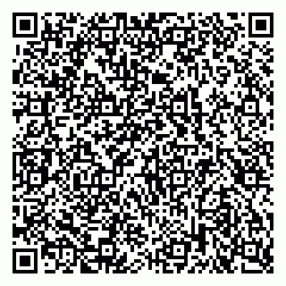 vCard 79803460383