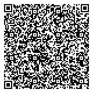 vCard 79803460384