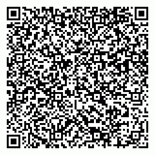 vCard 79803460387