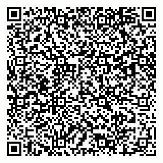 vCard 79803460388