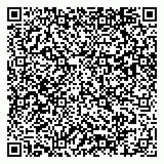 vCard 79803460392