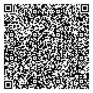 vCard 79803500027