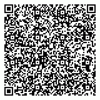 vCard 79803500029