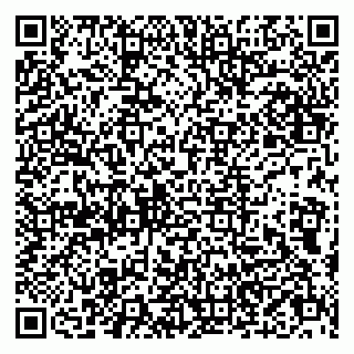 vCard 79803500039