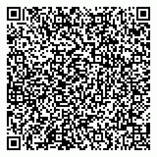 vCard 79803500078