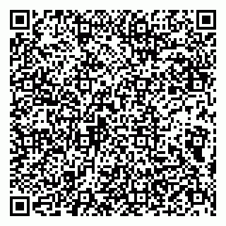 vCard 79803500089