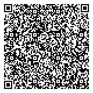 vCard 79803500121