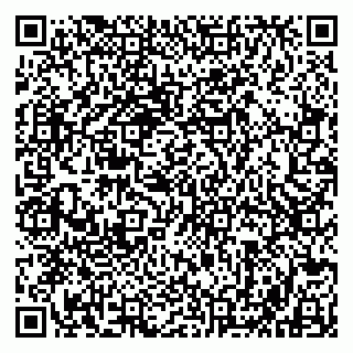 vCard 79803500133