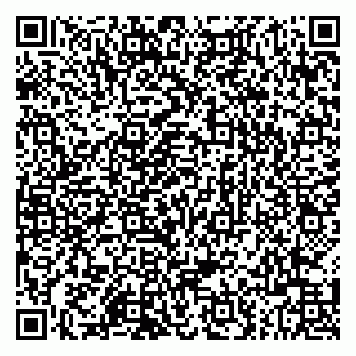 vCard 79803500137