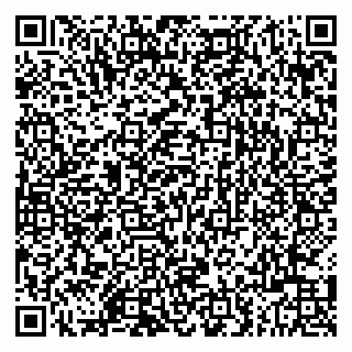 vCard 79803500173
