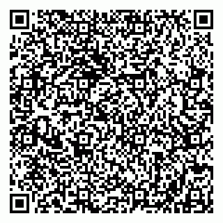 vCard 79803500177