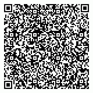 vCard 79803500196