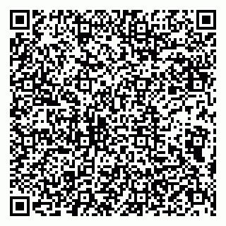 vCard 79803500203