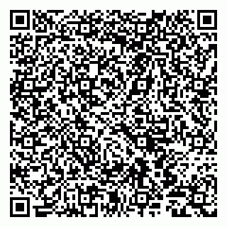 vCard 79803500208