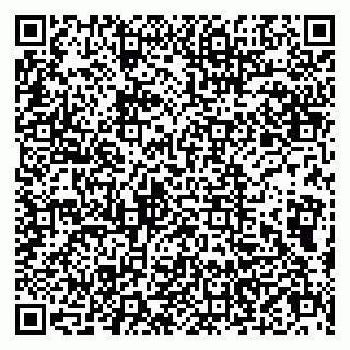 vCard 79803500209