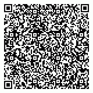 vCard 79803500211