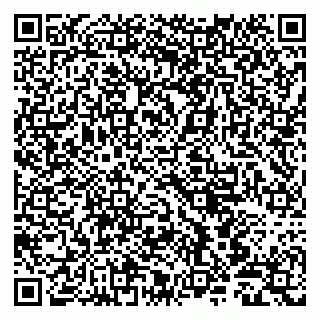 vCard 79803500231