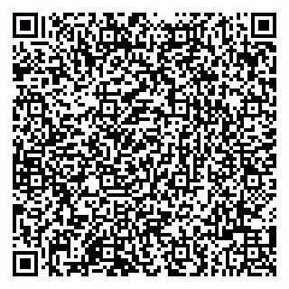 vCard 79803500235