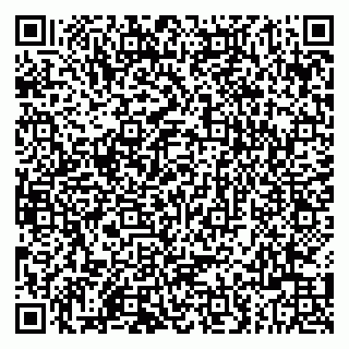 vCard 79803500241