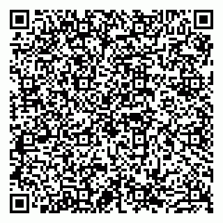 vCard 79803500247