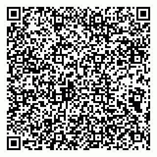 vCard 79803500265